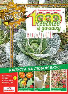 1000 СОВЕТОВ ДАЧНИКУ №21 2021
